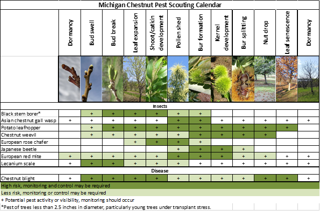 A Michigan chestnut pest scouting calendar.